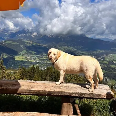 Estalagem Hocheckhuette On Of The Hahnenkamm Mountain