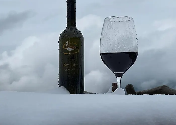 אורחן Hocheckhuette On Of The Hahnenkamm Mountain