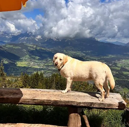 אורחן Hocheckhuette On Of The Hahnenkamm Mountain