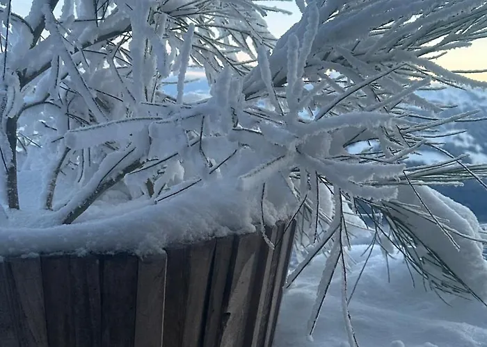 Hocheckhuette On Of The Hahnenkamm Mountain * קיצביהל