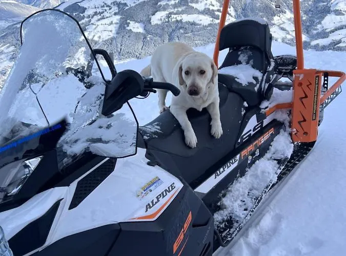 Värdshus Hocheckhuette On Of The Hahnenkamm Mountain *
